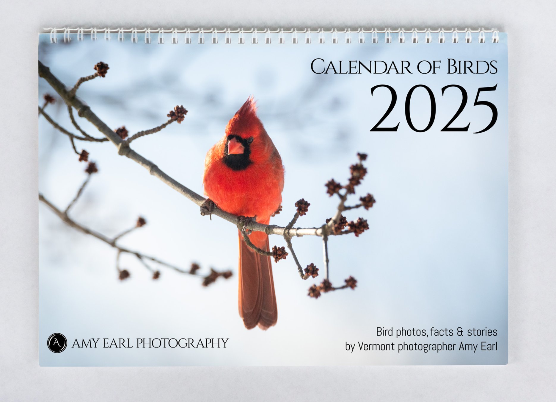 Wall Calendar of Birds for 2025