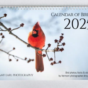 Wall Calendar of Birds for 2025