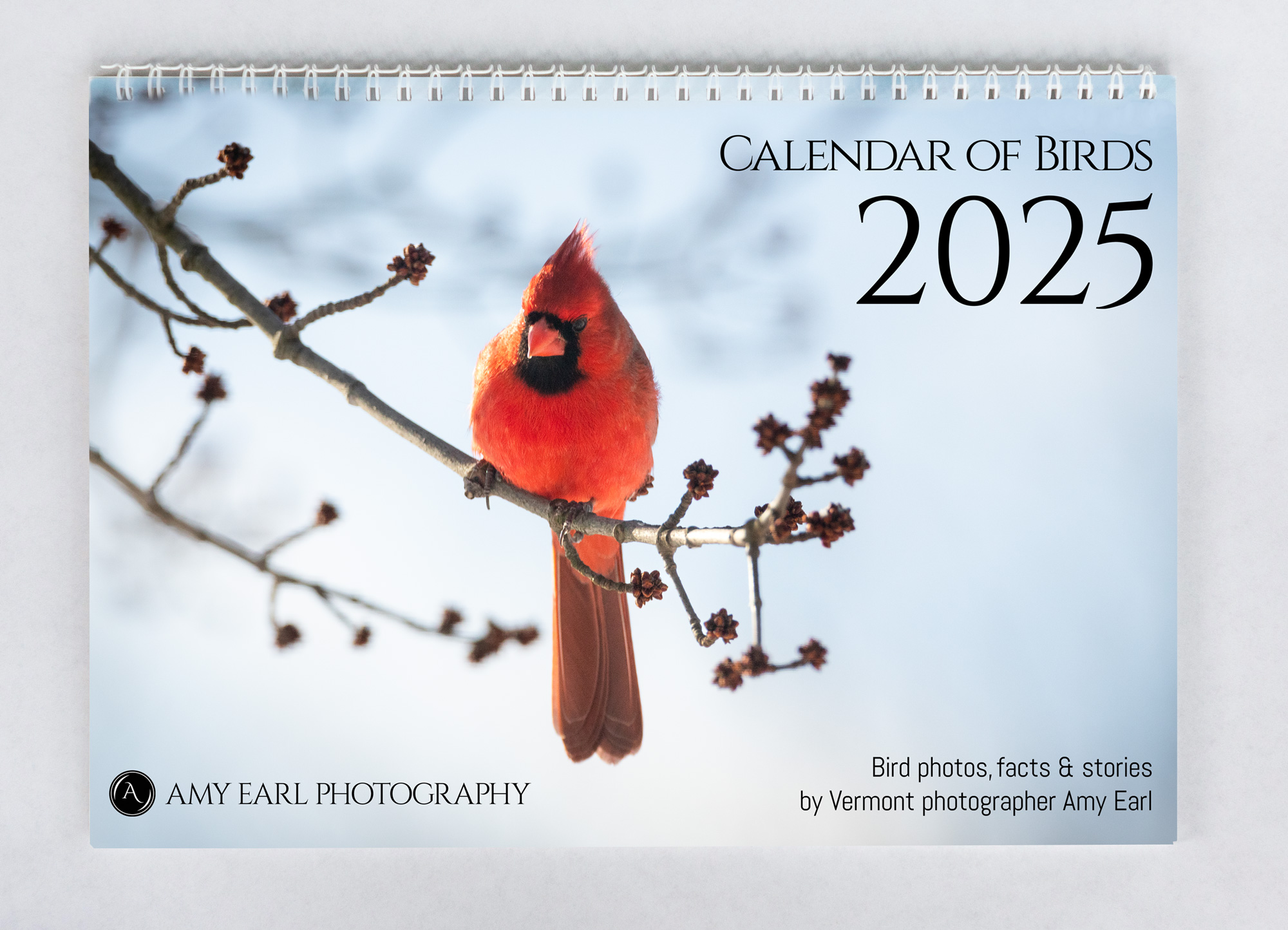 Wall Calendar of Birds for 2025