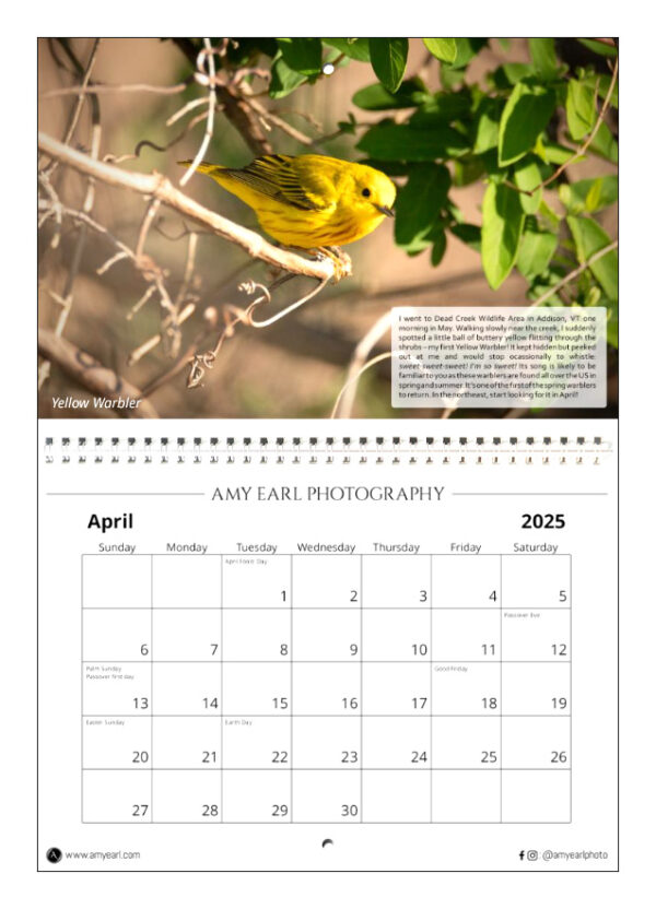 2025 Calendar of Birds - Image 2