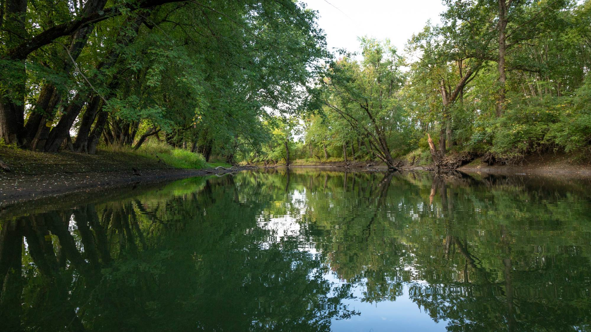 Wide view look down Otter Creek refelecting blue sky and lush green trees lining the riverbanks