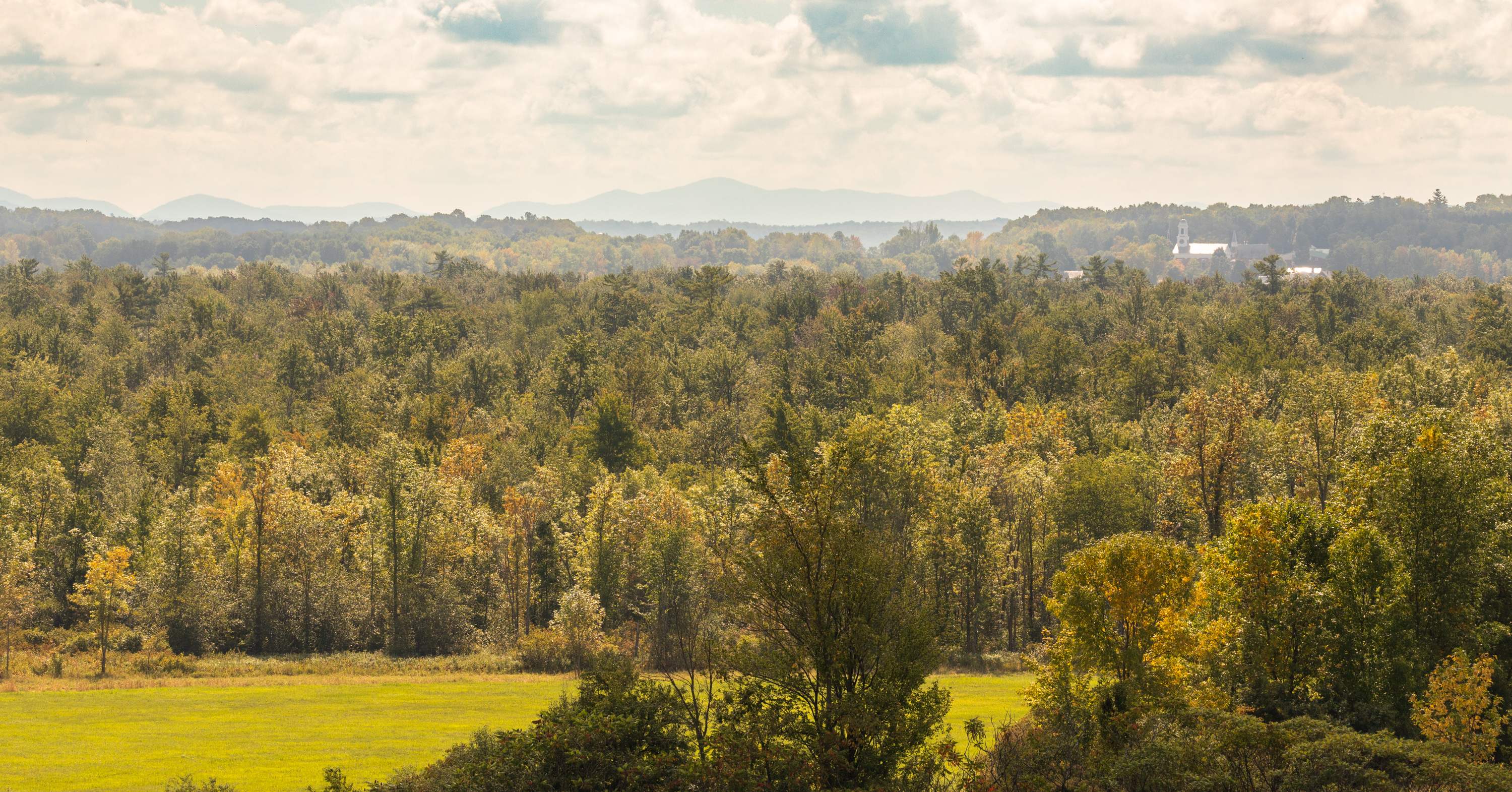 September landscape with faded green trees and haze