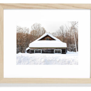 Snowed In Framed Print